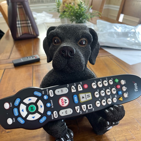 Other - Cute remote holder
